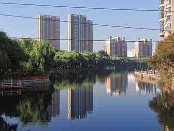 国道上的生死抉择